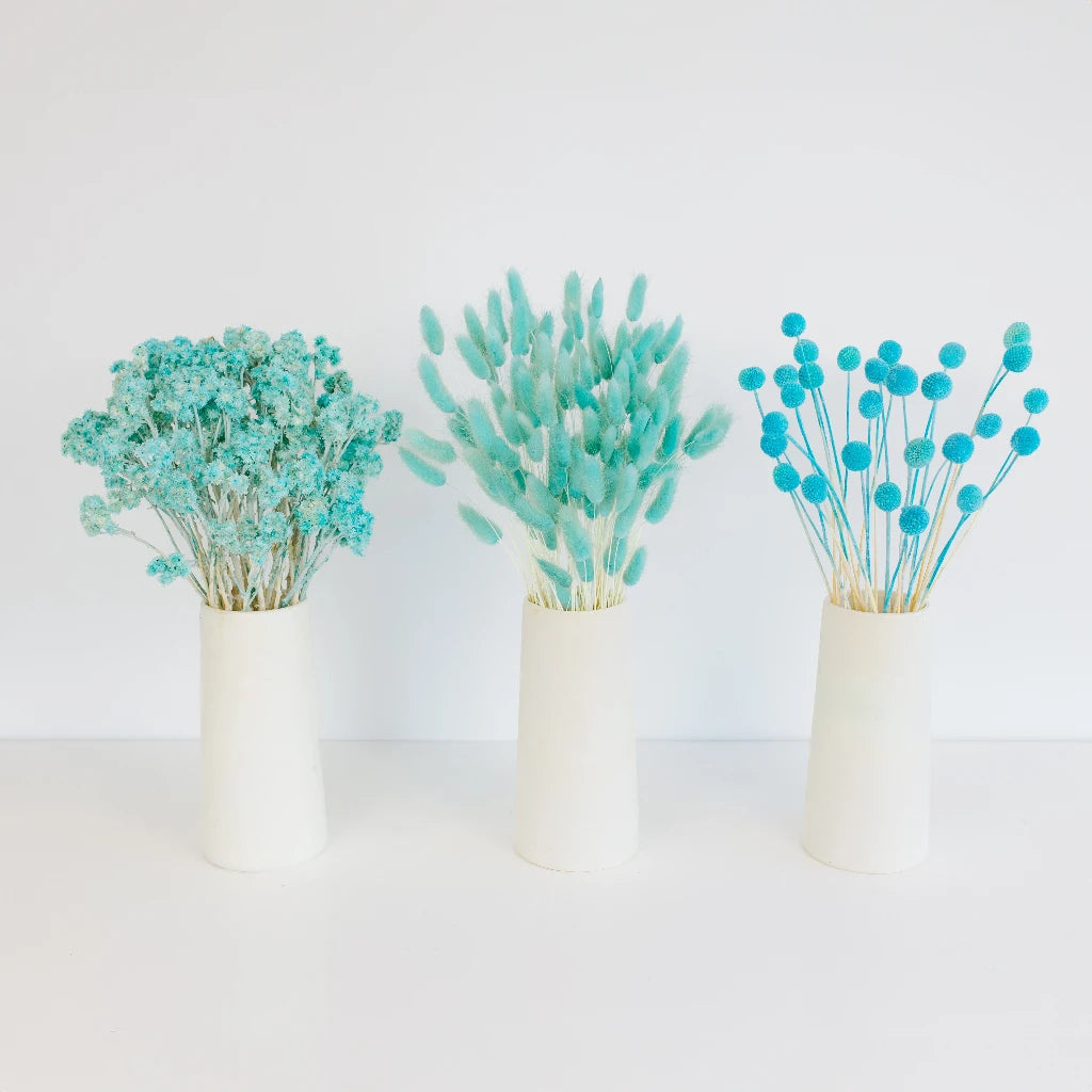 Premium Aqua Blue Dried Flowers for Home Decor - Natural Dried Bouquets for Wedding Centerpieces, DIY Crafts, and Aesthetic Room Decor