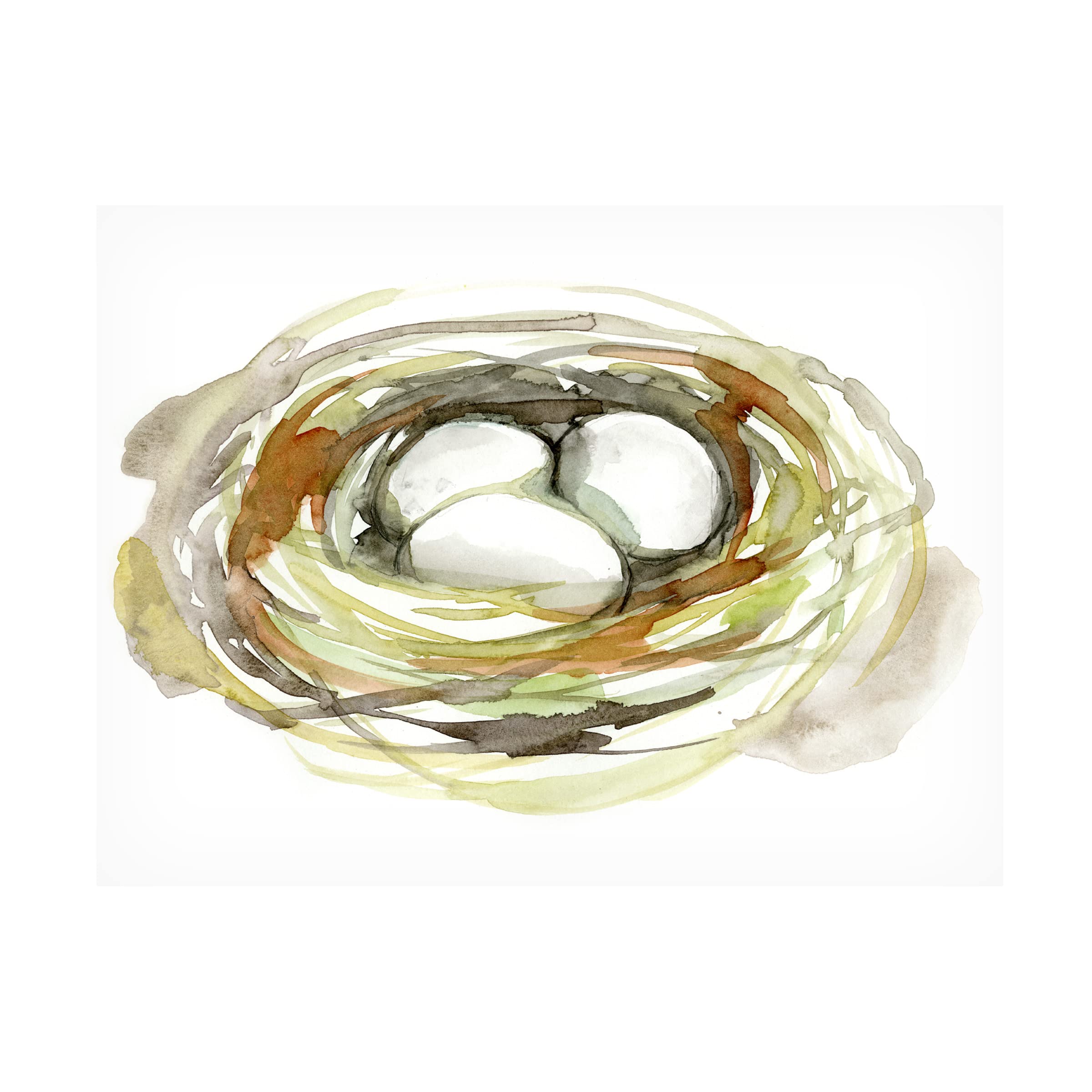 Jennifer Goldberger 'Watercolor Nest I' Canvas Art Print - 24x32 Inches - Modern Home Decor for Living Room, Bedroom & Office