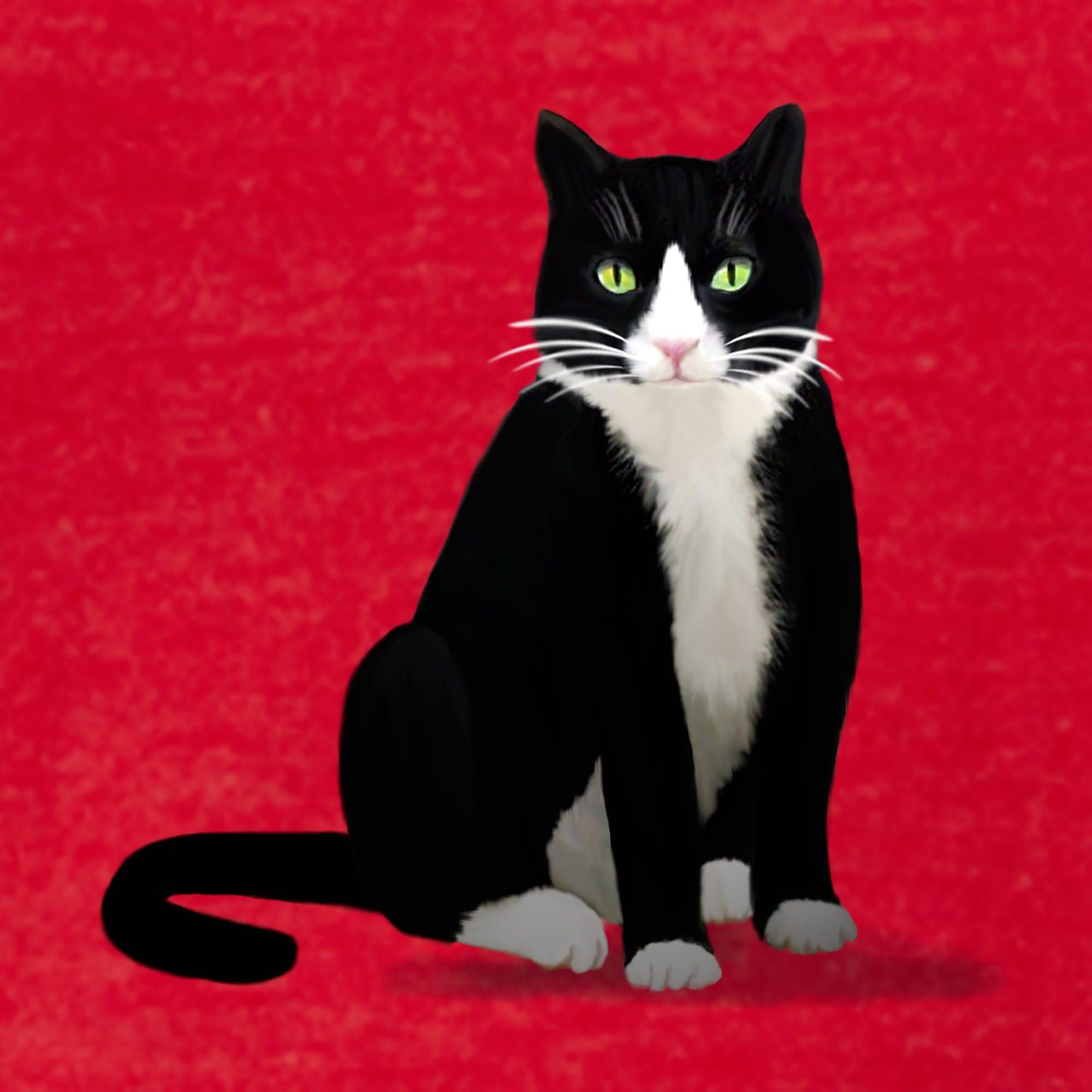 Black and White Tuxedo Cat Women's Football T-Shirt - Funny Soccer Lover Gift for Women - Perfect for Game Day, Parties & Cat Lovers