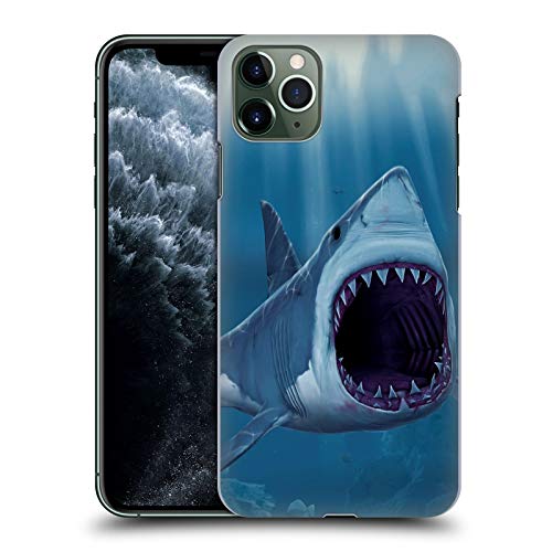 Shark Bite