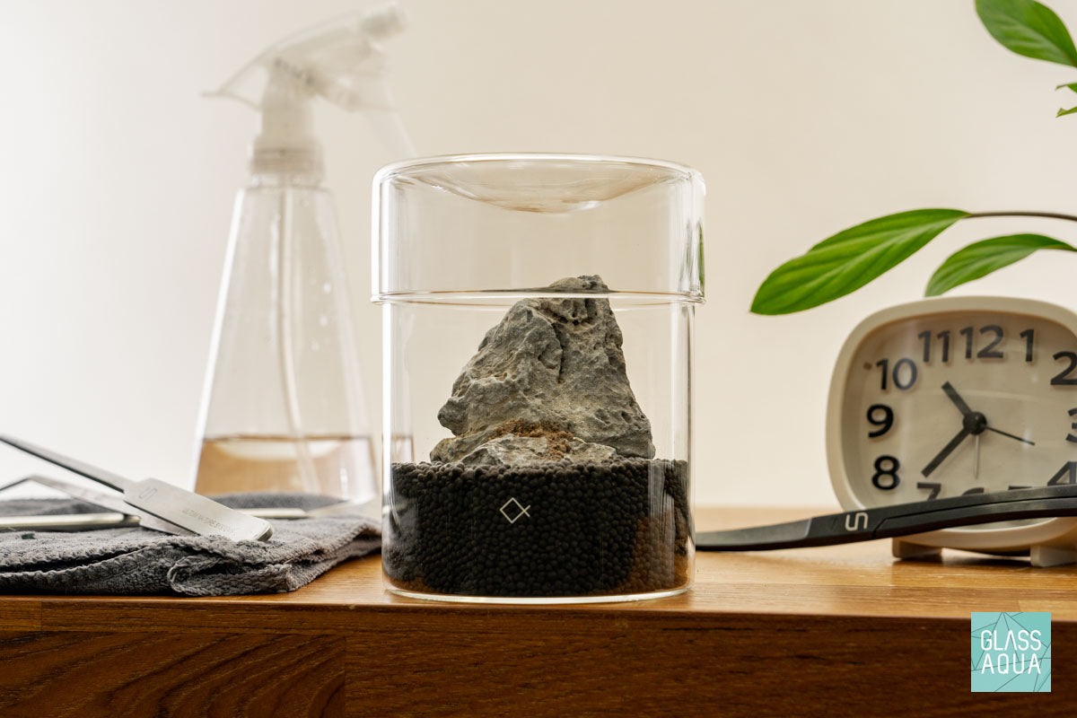 Miniature Terrarium Kit - DIY Glass Garden with Succulents & Moss for Home Decor, Office Desk, or Gift Idea | Creative Indoor Gardening Project for Beginners