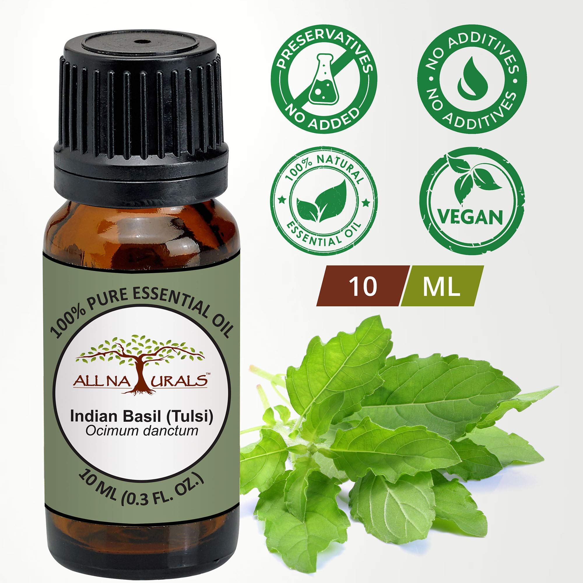 Pure Tulsi Essential Oil (15ml) - 100% Natural Holy Basil Oil for Aromatherapy, Meditation & Focus | Home Fragrance, Skin Care, Disinfection & Insect Repellent | USDA Certified Organic for Spiritual Wellness & Holistic Healing