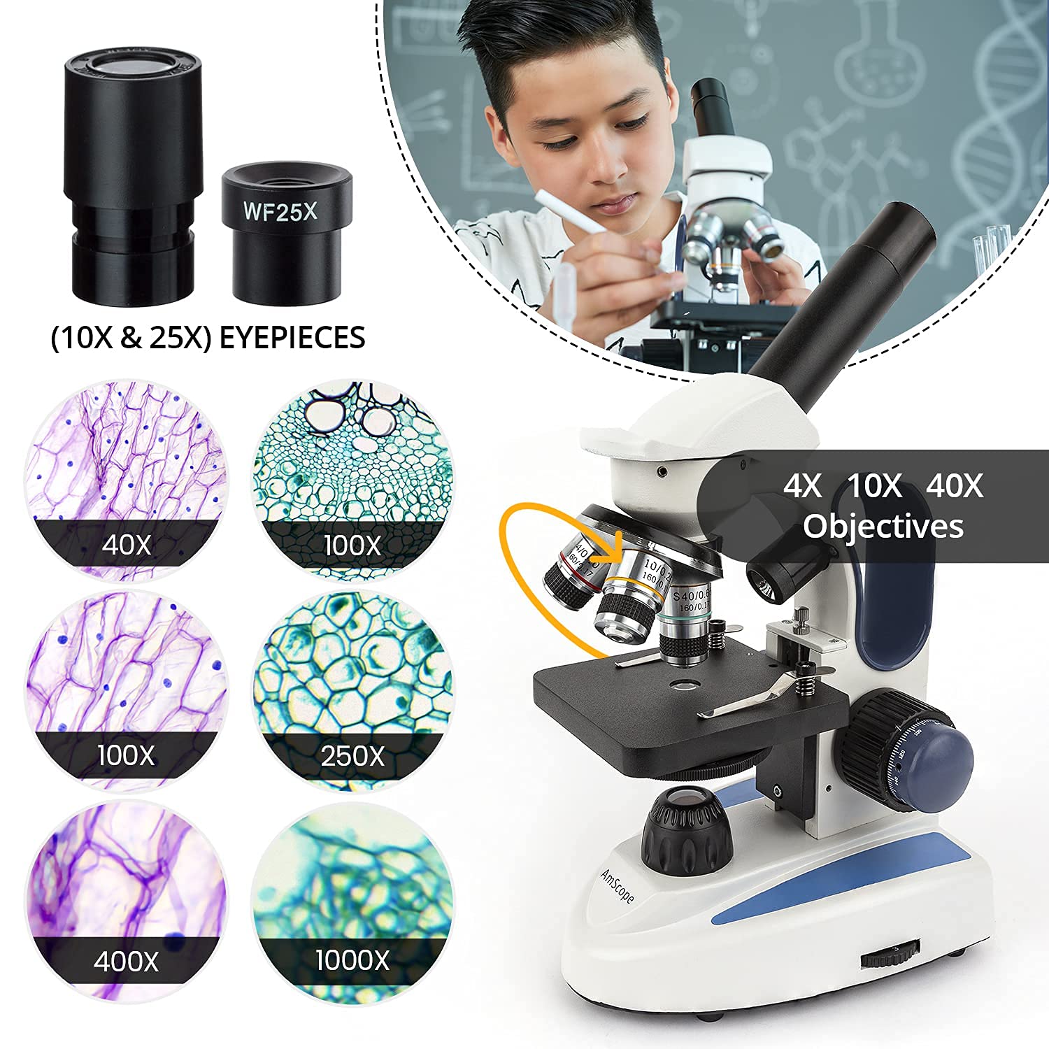 AmScope 40X-1000X Cordless Dual LED Illumination Compound Monocular Microscope with SP-14 Slide Preparation Kit - Includes Blank & Prepared Slides, Stains for Lab, School & Home Science Experiments