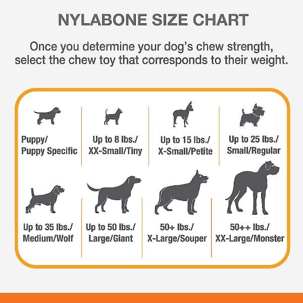 Nylabone DuraChew Bacon Flavored Dog Chew Toy - Long-Lasting Dental Chew for Medium to Large Dogs - Perfect for Aggressive Chewers & Teething Puppies