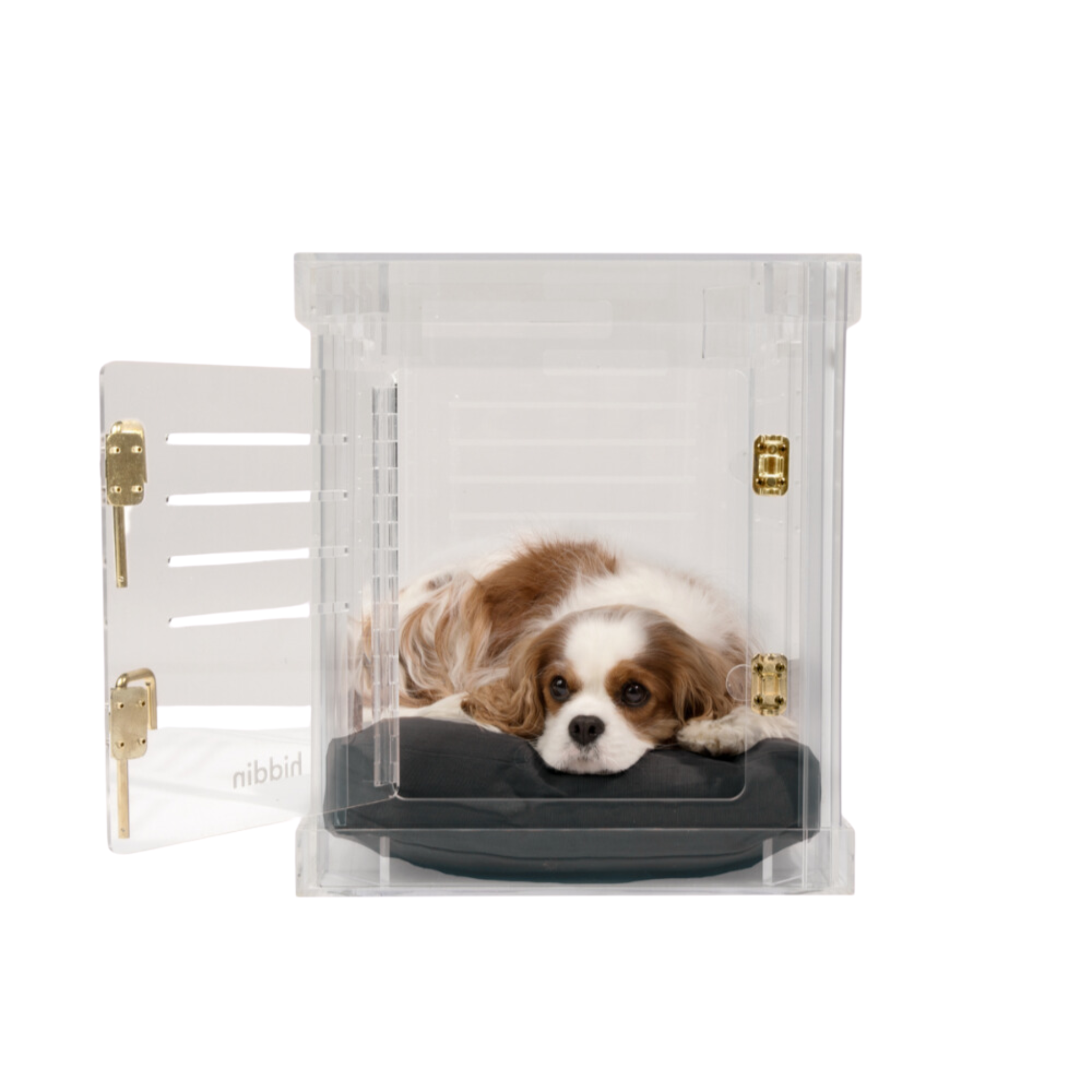 Clear Plastic Dog Crate with Removable Gate - Portable Pet Carrier for Small to Medium Dogs - Perfect for Travel, Training & Home Use