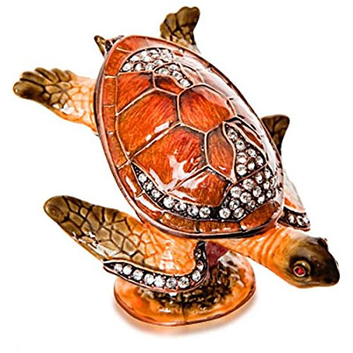 Swimming Sea Turtle