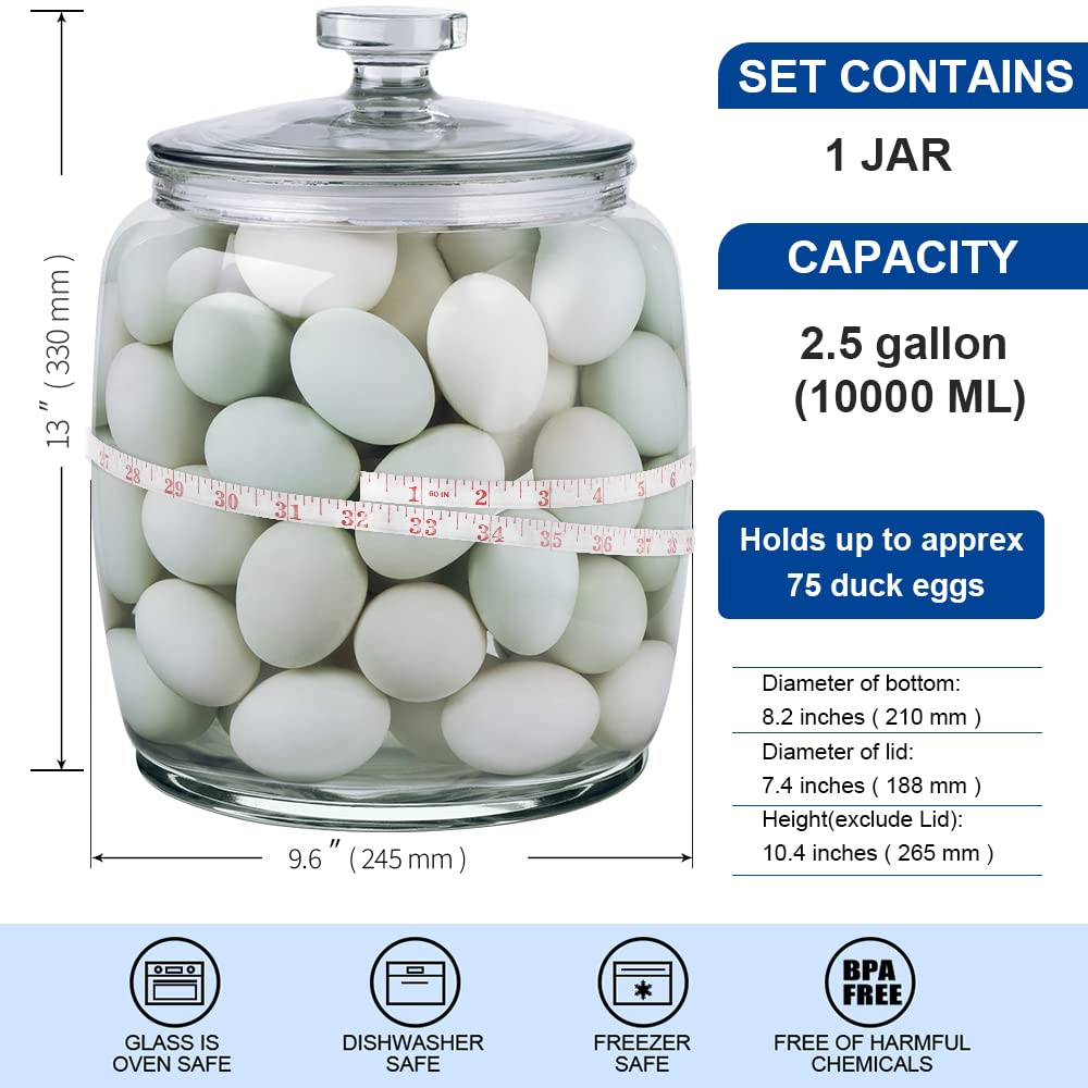 2.5 Gallon Glass Storage Jars with Airtight Lids - Wide Mouth Cookie Jars for Kitchen Pantry Organization - Perfect for Storing Flour, Rice, Sugar, Pasta & Candy - Ideal for Home Baking, Meal Prep & Bulk Food Storage