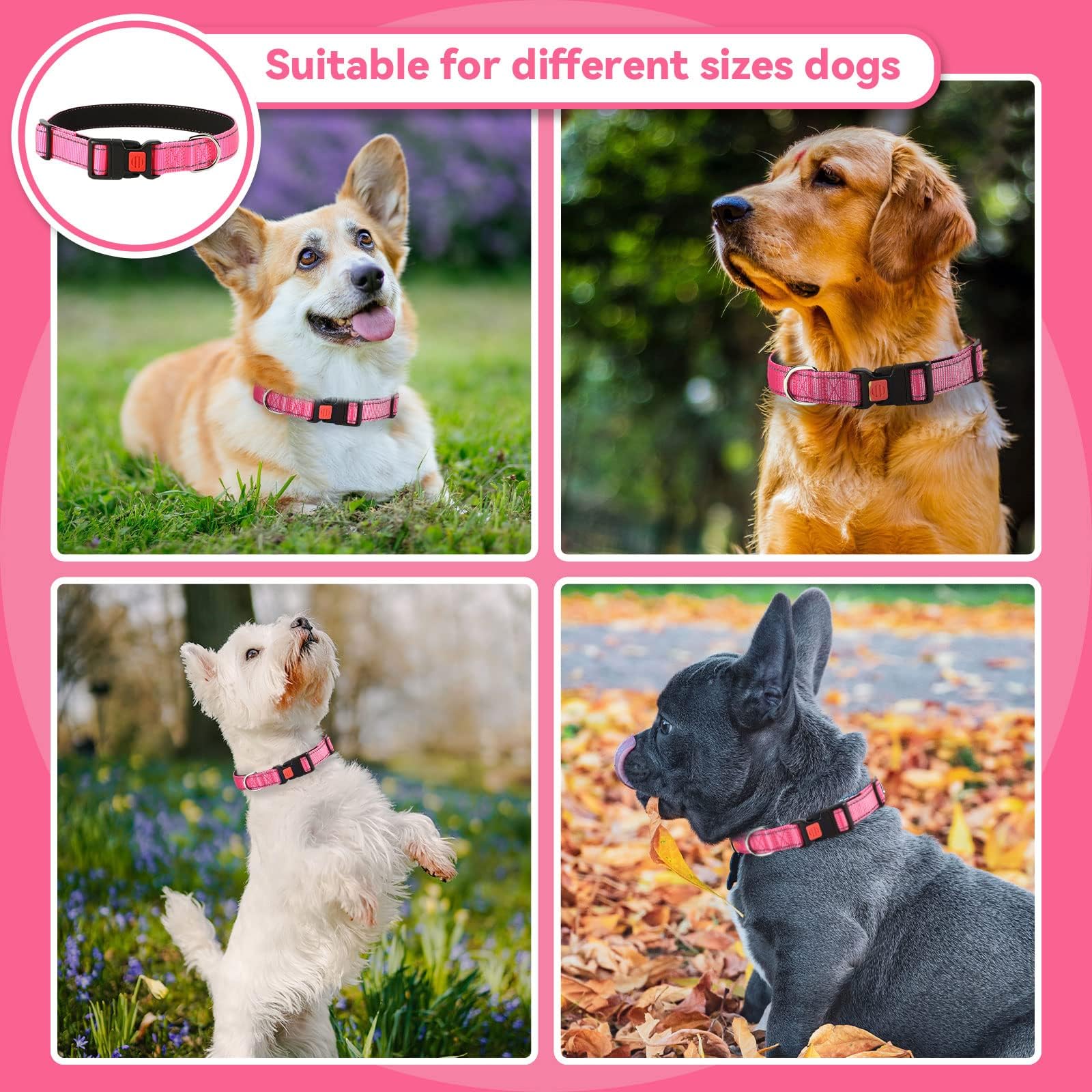 Reflective Dog Collar - Adjustable Durable Neoprene Pet Collar with Quick Release Buckle | Ultra Soft & Breathable for Puppy, Small, Medium & Large Dogs | Perfect for Night Walks & Outdoor Safety