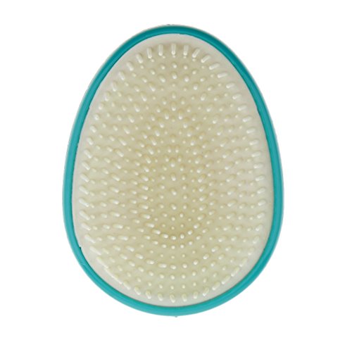 Egg Shaped Detangling Brush for Kids & Adults - Gentle Hair Detangler & Scalp Massage Brush - Perfect for Curly, Wet, or Thick Hair - Home, Travel & Salon Use