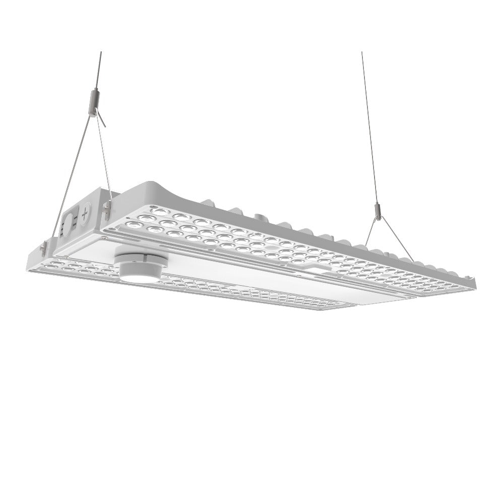 PAVO IV LED High Bay Light 310W 270W 240W - 5000K 4000K Daylight White - 46,000 Lumens - 120-277V - 1000W Metal Halide Replacement - Warehouse, Gym, Factory Lighting Solution