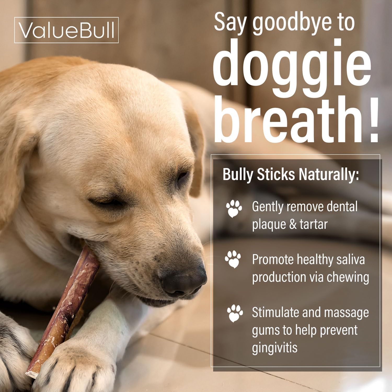 ValueBull Jumbo 6-Inch Bully Sticks for Dogs - 25 Count All-Natural Beef Dog Treats | 100% Beef Pizzle Chews | Single-Ingredient Rawhide Alternative | Great for Training, Teething & Dental Health