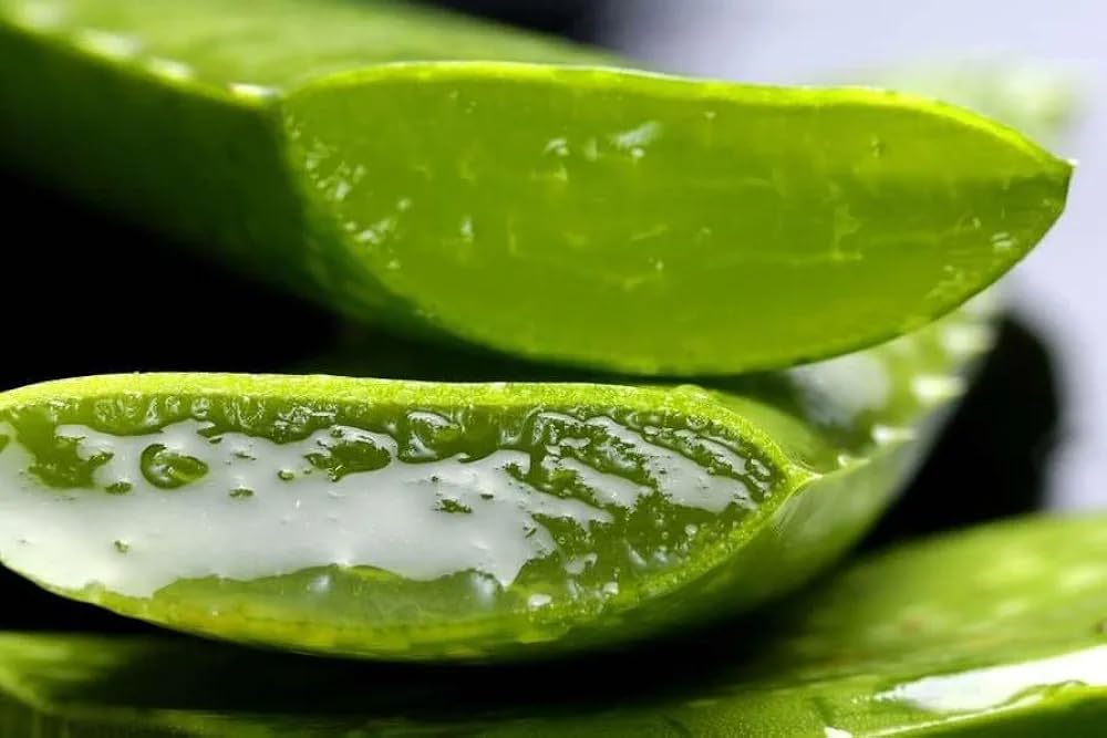 **Kanot 100% Pure Aloe Vera Gel – Unscented, 10.14 fl oz – Hydrating & Soothing for Skin, Hair & Body – Lightweight, Fast-Absorbing Formula – No Harmful Chemicals – Perfect for Sunburn Relief, Moisturizing & Hair Care**