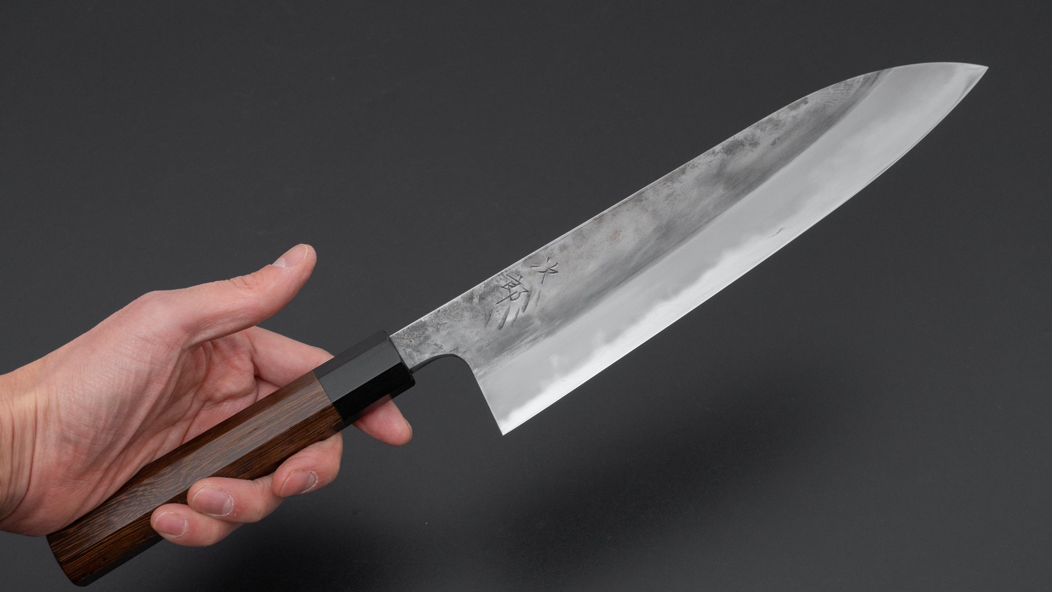 Premium Jiro Tsuchime Wa Gyuto 240mm Japanese Chef Knife with Taihei Tagayasan Handle (#669) - Perfect for Professional Chefs & Home Cooking, Sushi Preparation & Meat Cutting