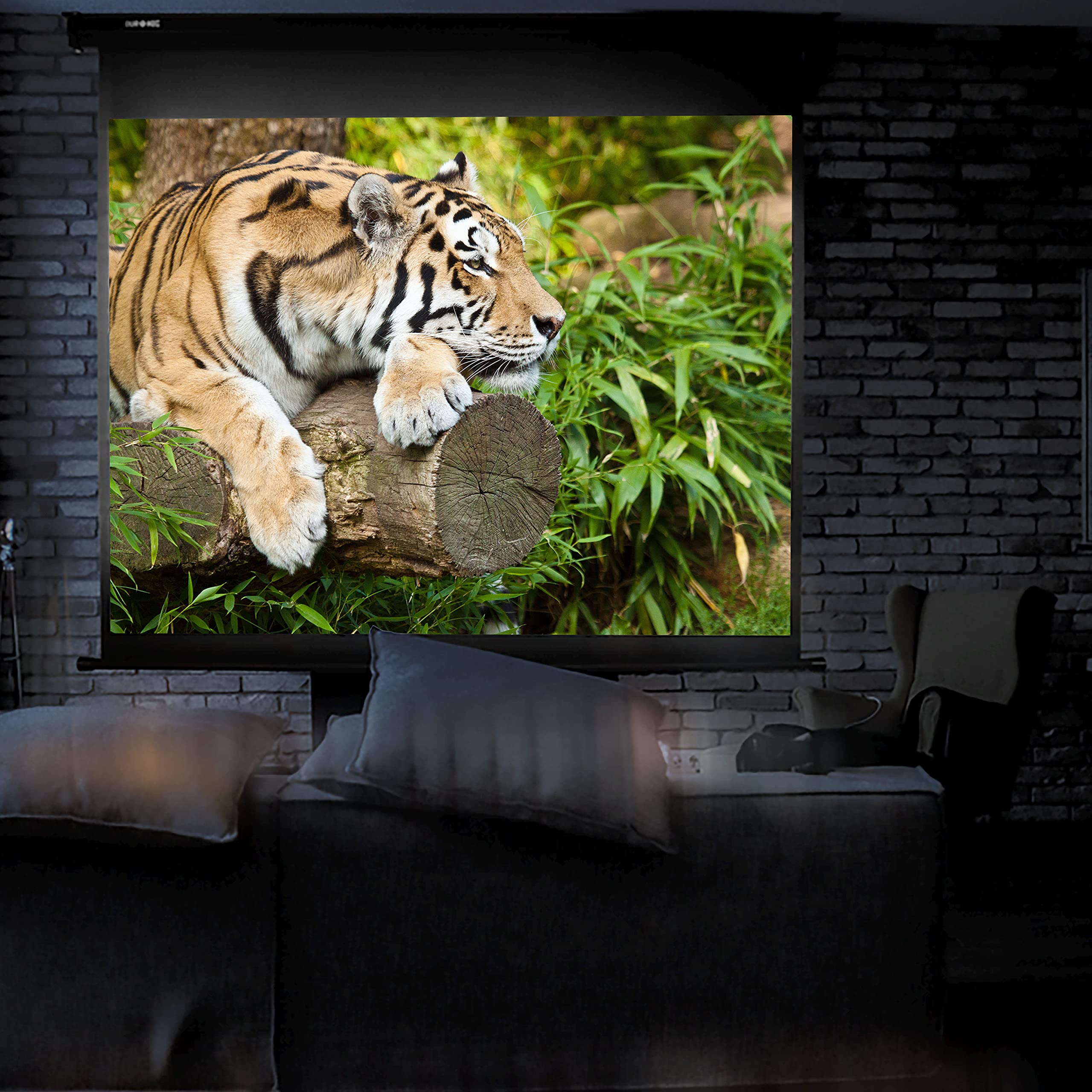 Duronic MPS70/43BK Manual Pull Down Projector Screen - 70 Inch 4:3 Ratio Home Theater & Office Presentation Screen for Movies, Classrooms, Business Meetings | Perfect for Home Cinema, School Lessons, and Workplace Slideshows
