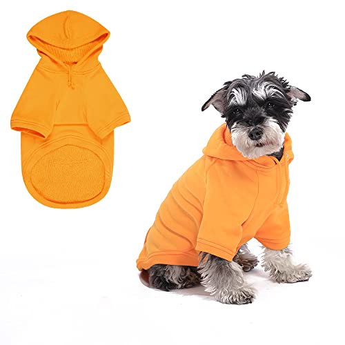 Orange Dog Hoodie