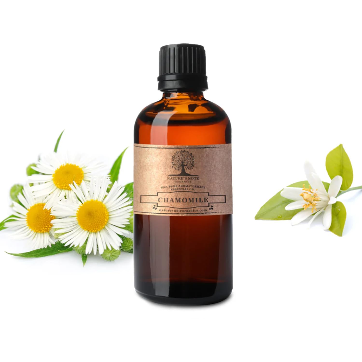 100% Pure Chamomile Essential Oil - Organic Aromatherapy Oil for Relaxation & Sleep - Nature's Note Organics - 1 Fl Oz - Perfect for Diffusers, Massage & Skincare