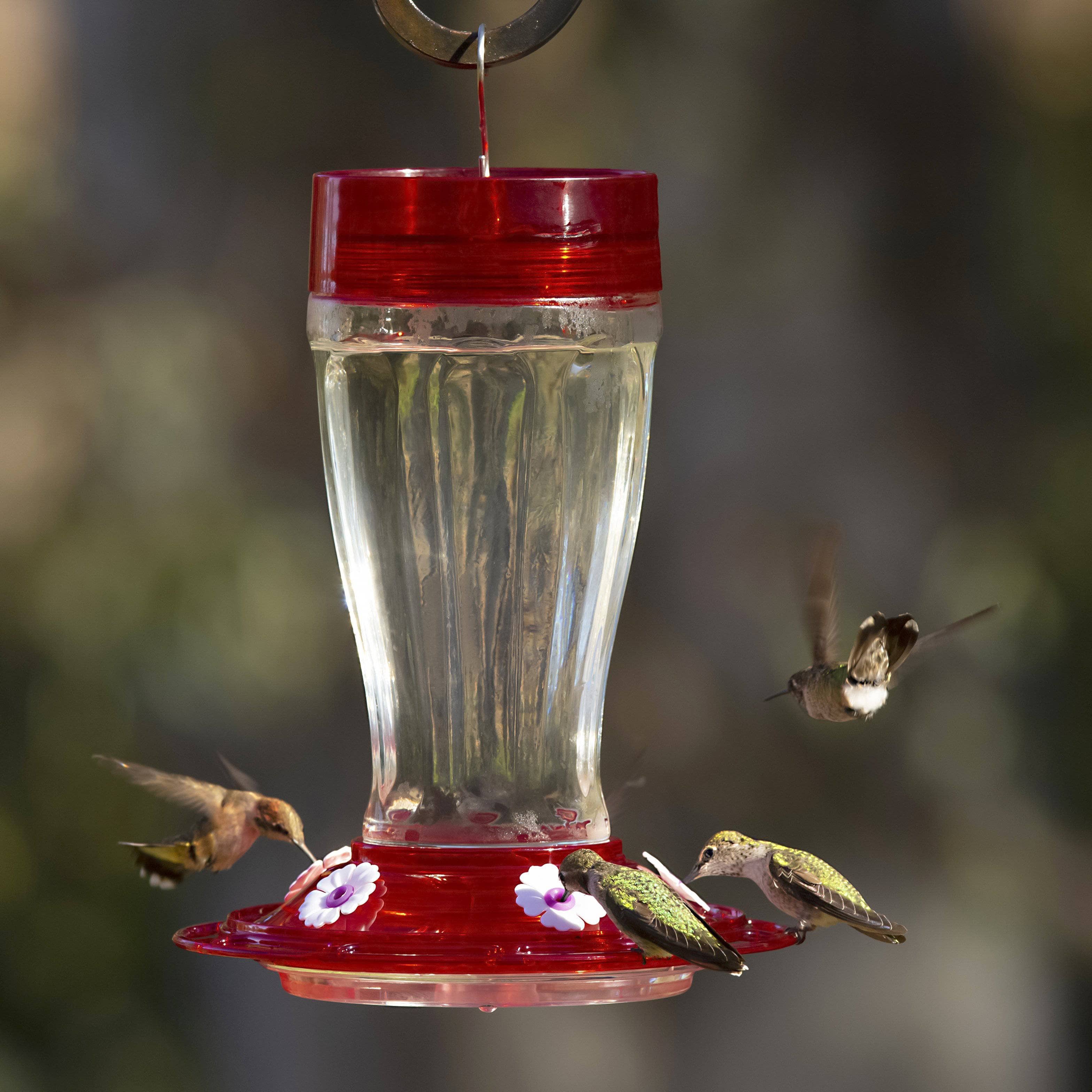 Big Gulp Hummingbird Feeder - 32oz Large Capacity Nectar Feeder for Outdoor Garden, Yard & Patio - Attract Hummingbirds with Easy-Fill Wide Mouth & Bee Guards (Red) | Perfect for Backyard Bird Watching & Nature Lovers