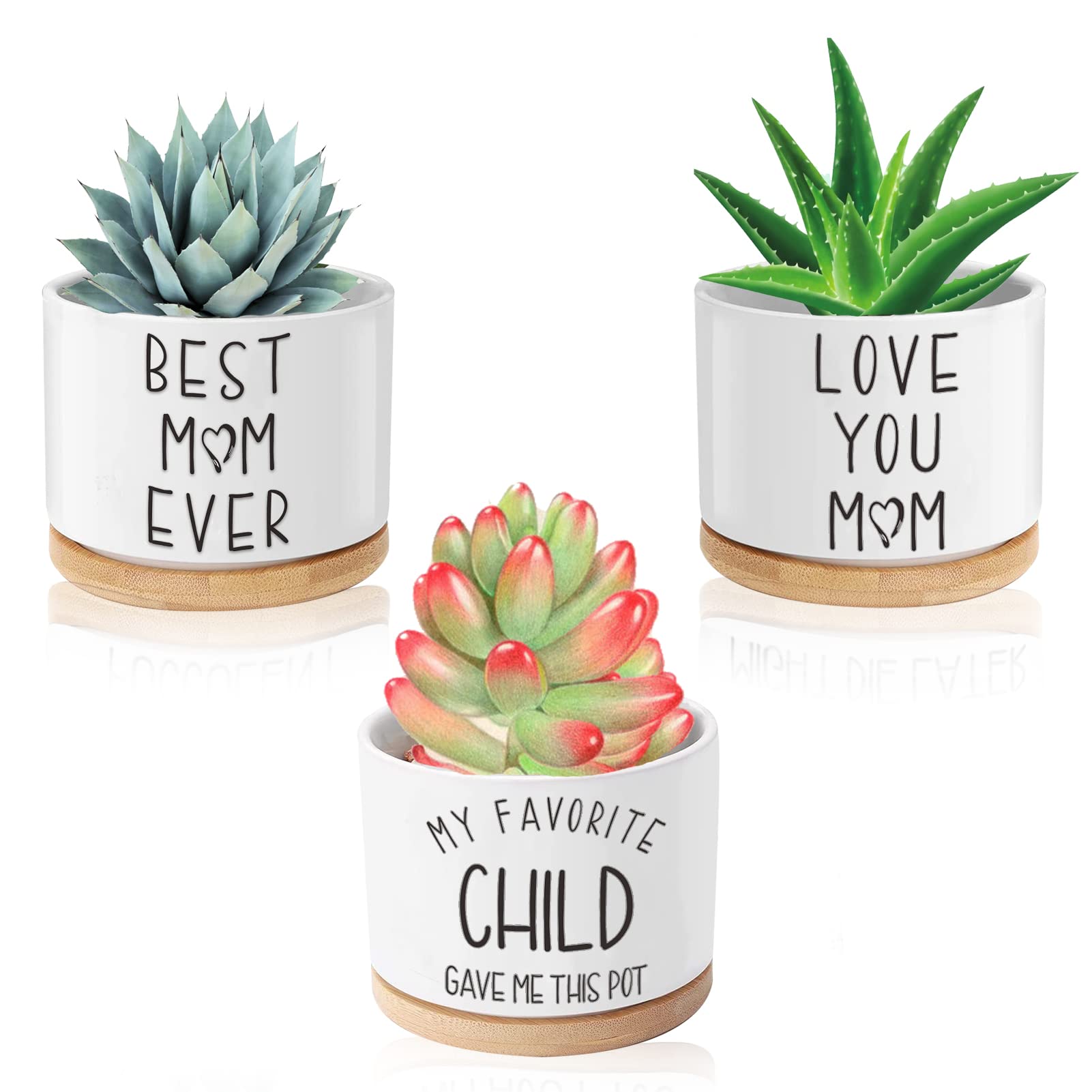 Unique Birthday Gifts for Women - 3 Pack 3.15 Inch Ceramic Succulent Pots with Bamboo Tray, Cute Cactus Planters with Drainage Hole - Funny Gift Idea for Mom, Wife, Sister - Perfect for Home Decor, Office Desk & Indoor Gardening (Plants Not Included)