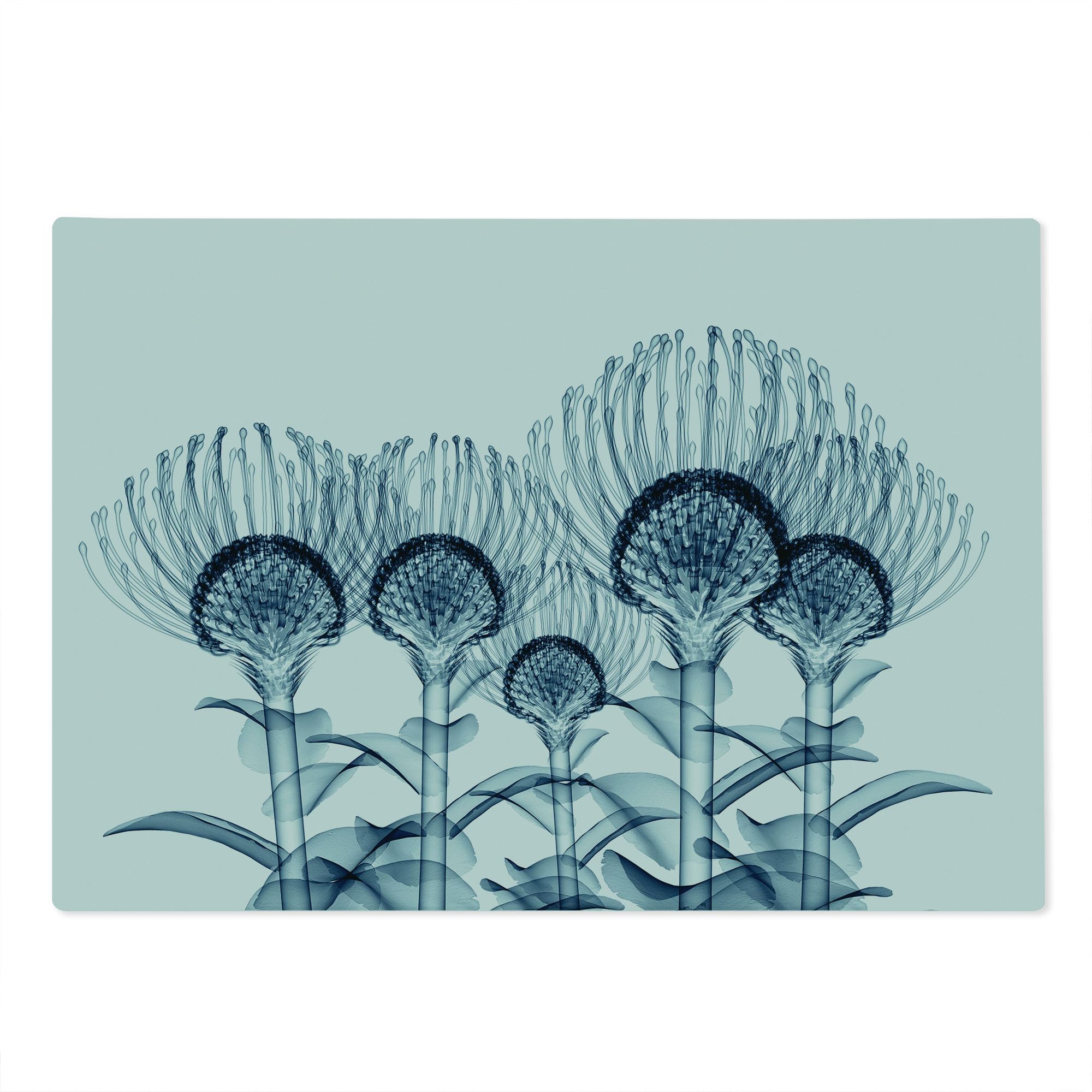Lunarable Floral Glass Cutting Board - Exotic Plants X-Ray UV Print, Large Tempered Glass Serving Board for Kitchen & Entertaining, Teal & White - Perfect for Cheese, Charcuterie & Party Platters