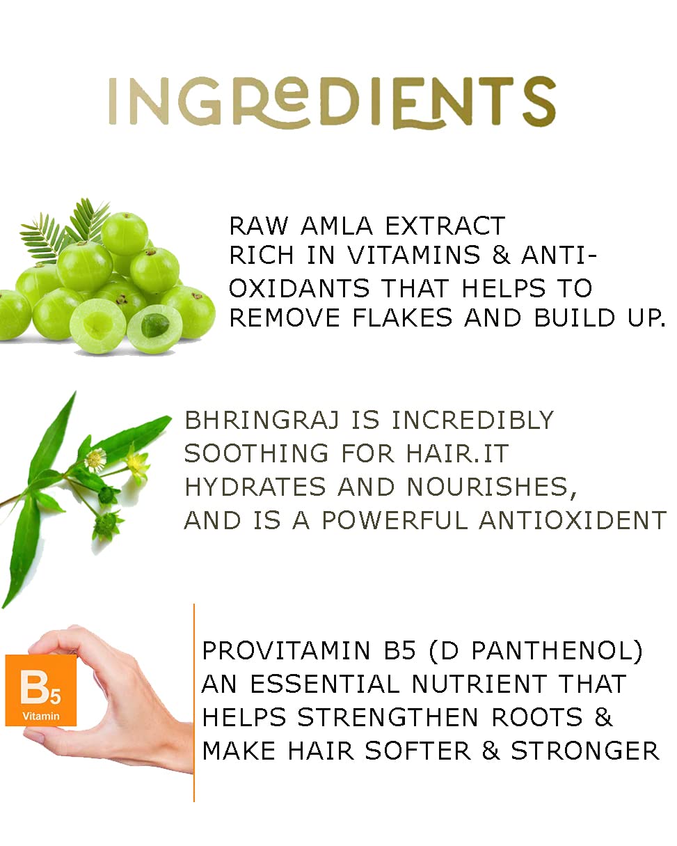 QUAT Bhringraj Amla Hair Conditioner - Nourishing & Repairing for Long, Lifeless Hair - Adds Shine & Strength - 250ml - Ideal for Daily Hair Care & Dream Lengths Maintenance