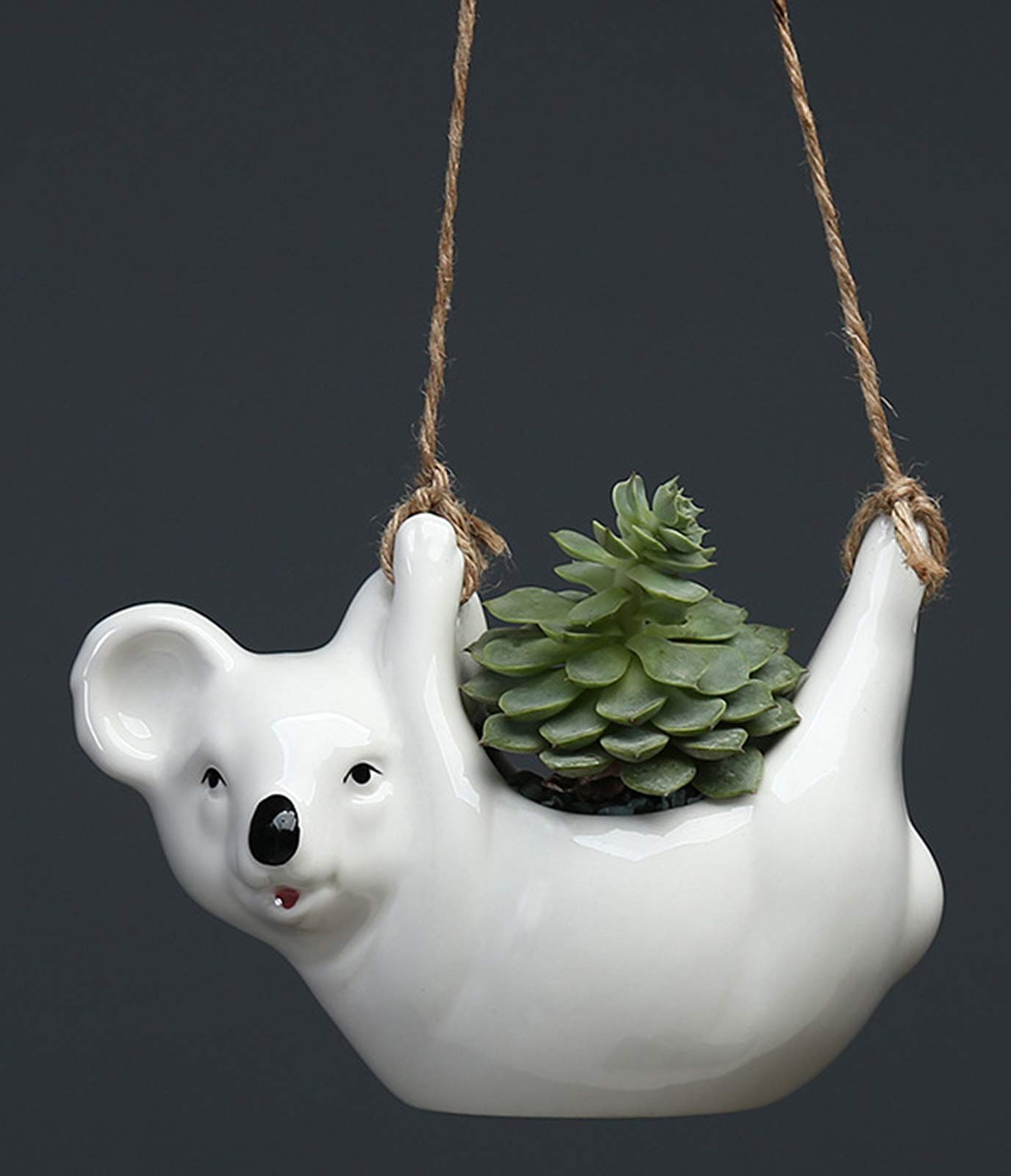 ChezMax Dinosaur-Shaped Ceramic Succulent Planter - White Cactus Flower Pot for Indoor Plants, Home & Garden Decor | Perfect for Windowsills, Office Desks & Gift Ideas