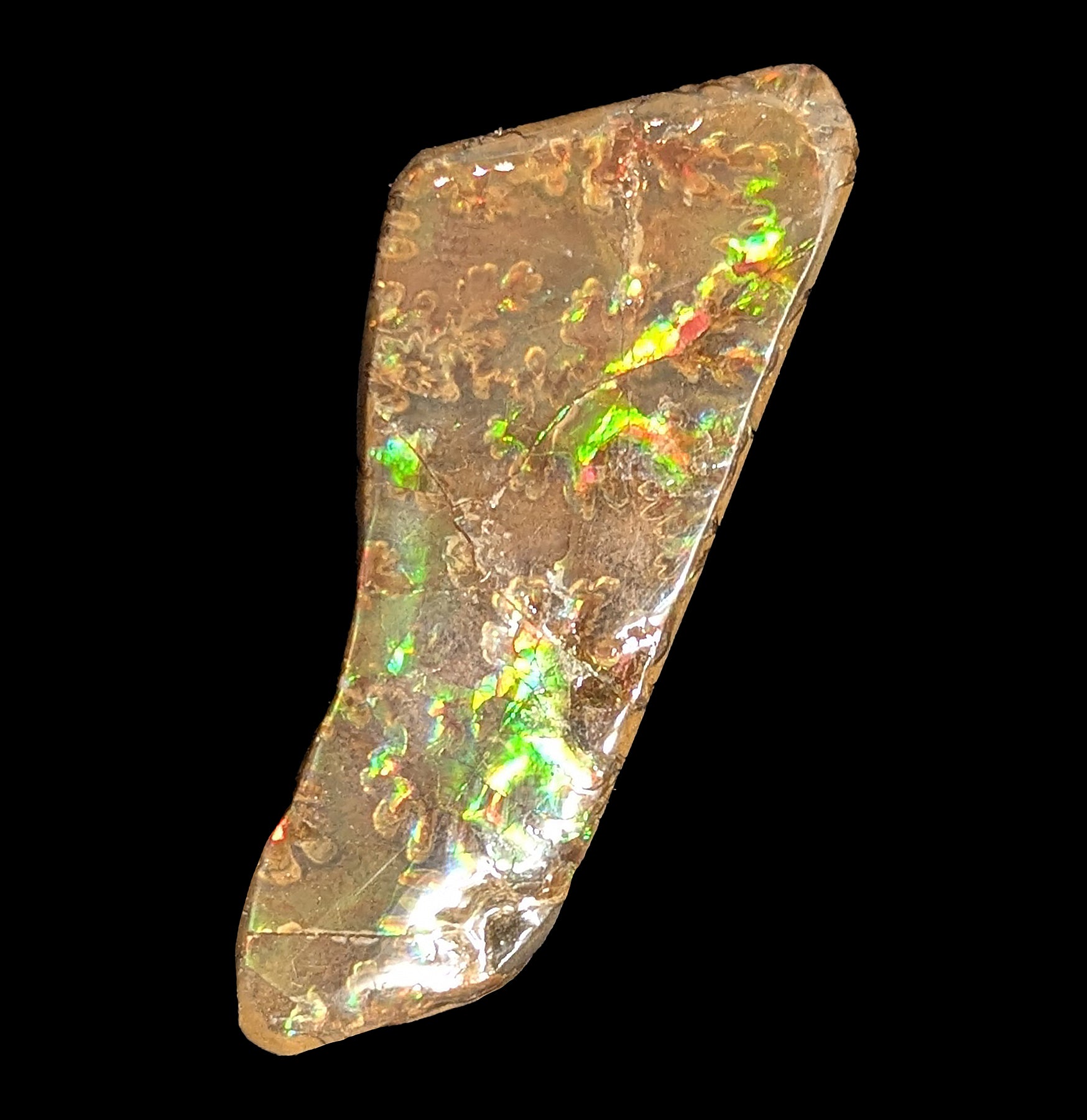 Natural Ammolite Gemstone Fragment - Rare Iridescent Fossil Shell Jewelry Making Supply for Necklaces, Rings & DIY Crafts