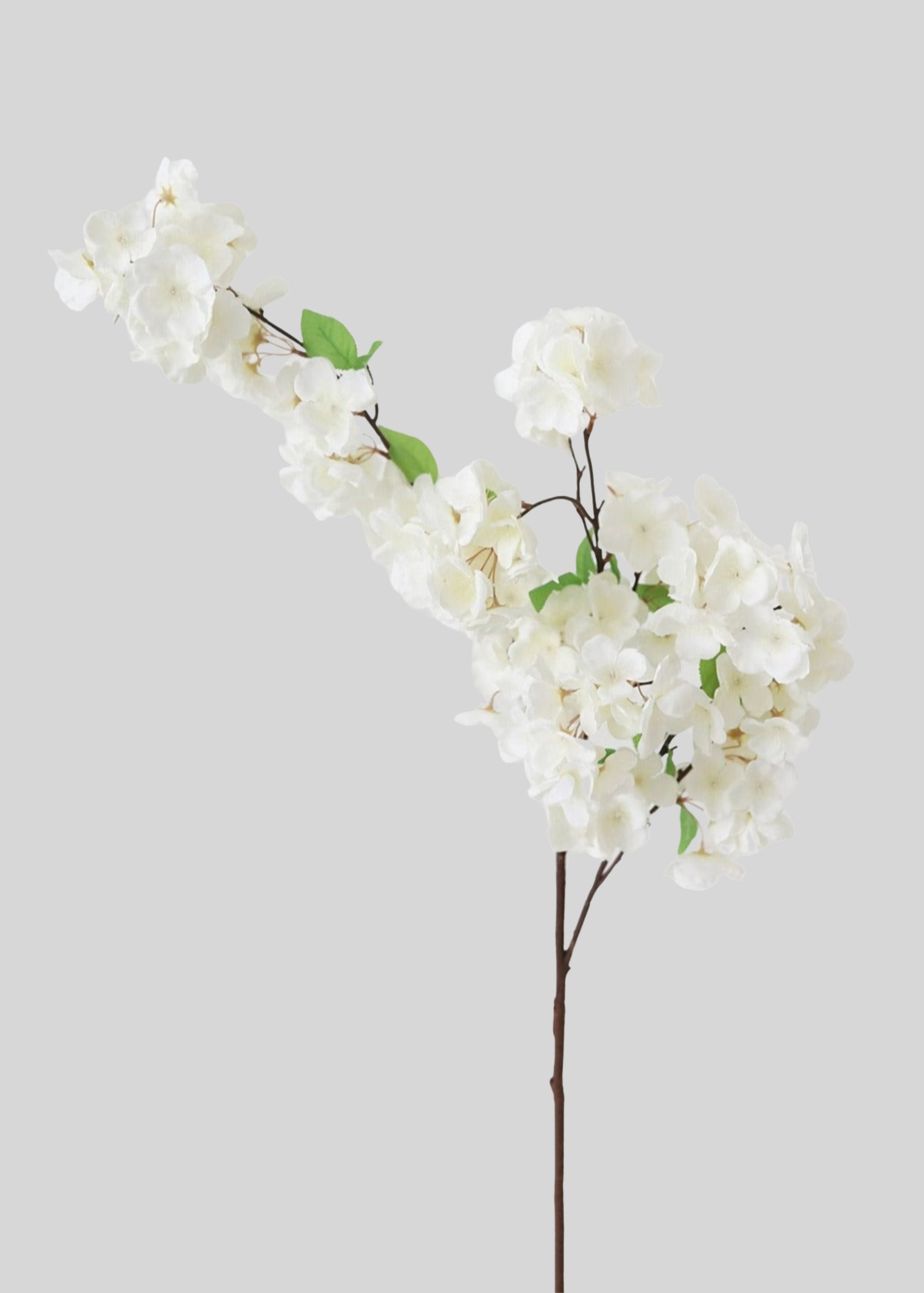 Premium Faux Cherry Blossom Stems in Cream White - 44