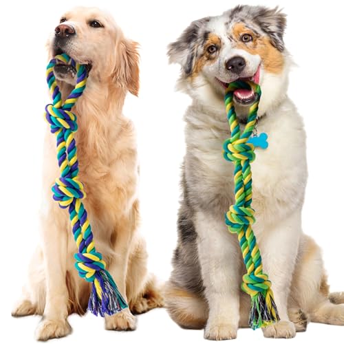 2 Pack-Medium