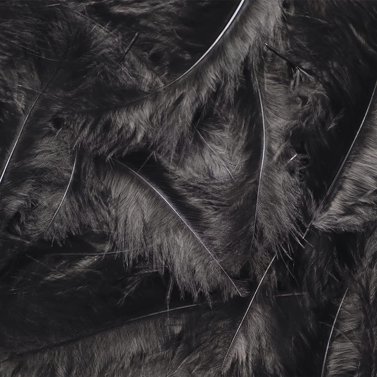 100pcs Black Feathers for DIY Crafts, Wedding Decorations, Party Supplies & Home Decor - Perfect for Centerpieces, Costume Accessories, and Gift Wrapping
