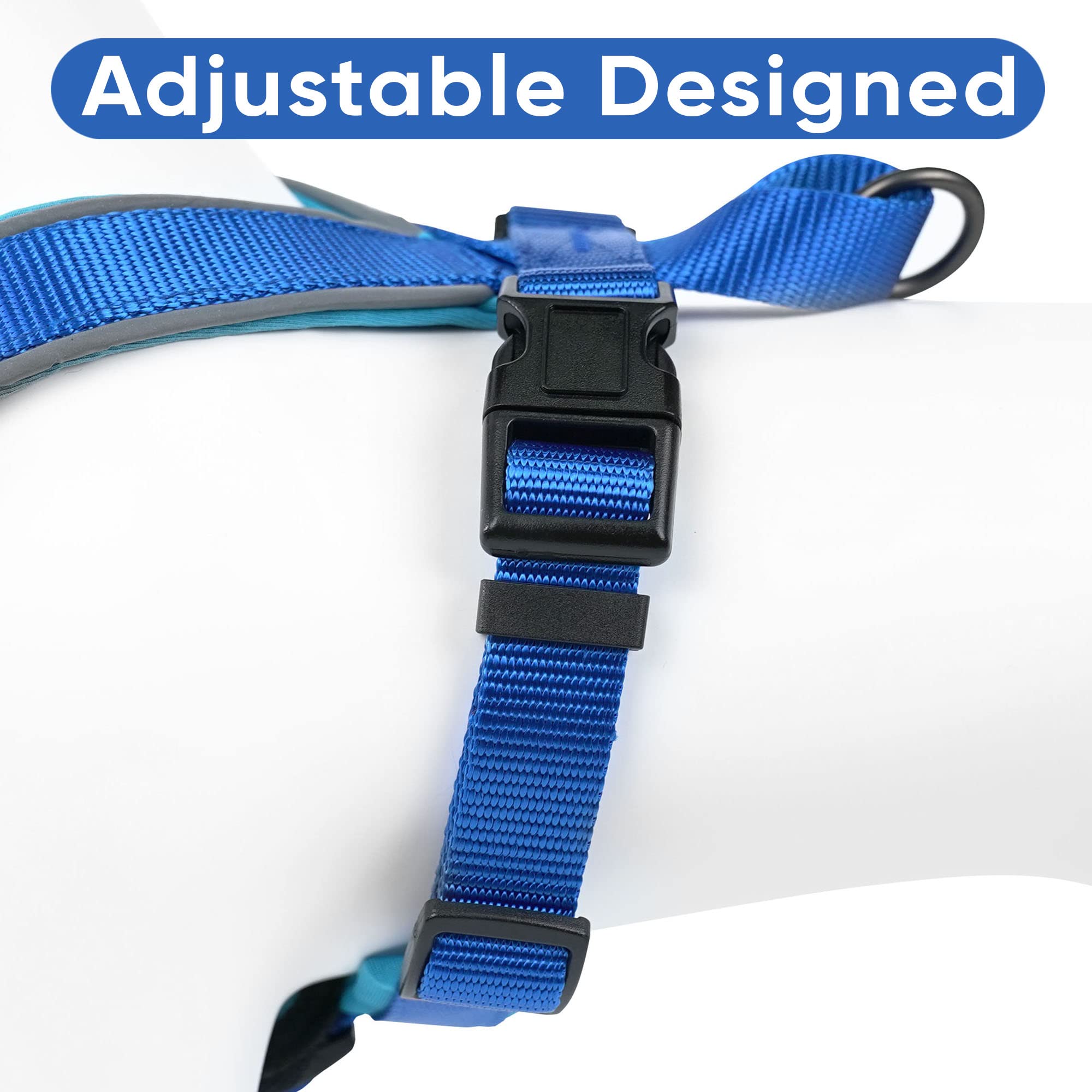 Pawtitas Reflective Dog Harness - Padded & Comfortable Pet Vest for Walking, Running & Outdoor Adventures - Medium Size in Blue - Perfect for Nighttime Safety & Daily Dog Activities