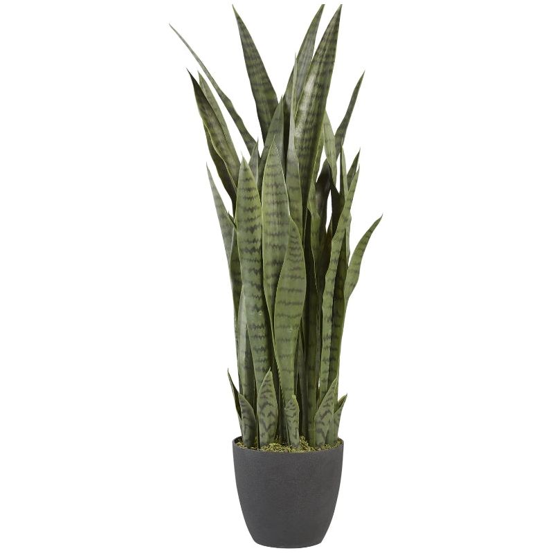 3 Pack Snake Plants (Sansevieria) - Air Purifying Indoor Houseplants for Home, Office & Decor | Low Maintenance & Easy Care