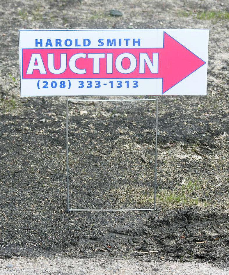 Small Full Color Auction Arrow 6x16 Inch - Pack of 10 - Perfect for Auctions, Fundraisers & Bidding Events