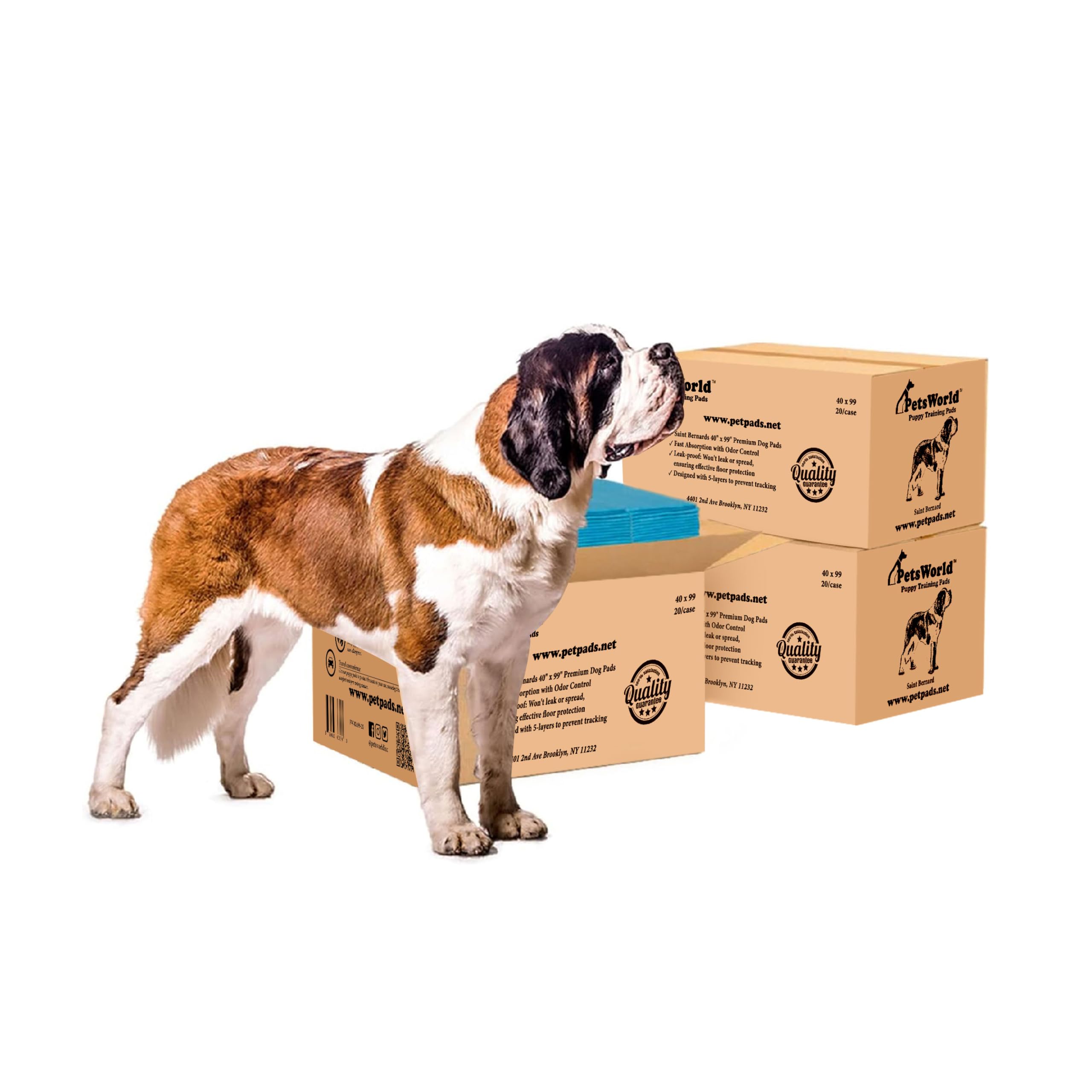 PETSWORLD Mega-Sized Dog Pee Pads (40