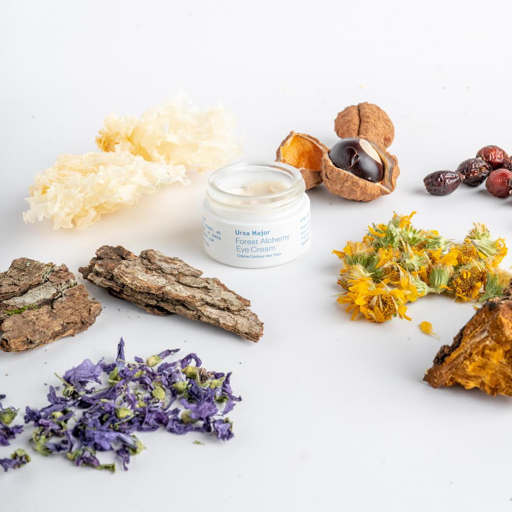 Forest Alchemy Eye Cream - Anti-Aging & Dark Circle Treatment for Puffy Eyes - Hydrating & Firming Under Eye Cream for Women & Men - Perfect for Nighttime Skincare Routine & Travel