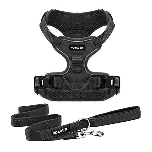 Harness Leash Set (Black Nylon)