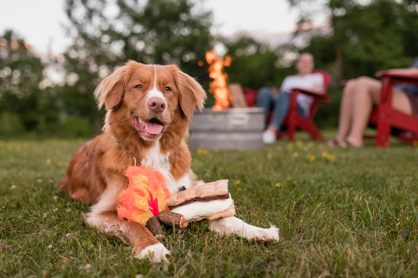 Camp Corbin™ S'mores Plush Dog Toy - Soft & Chewable Marshmallow Stuffed Animal for Dogs | Perfect for Playtime, Training & Cuddling | Pet P.L.A.Y.