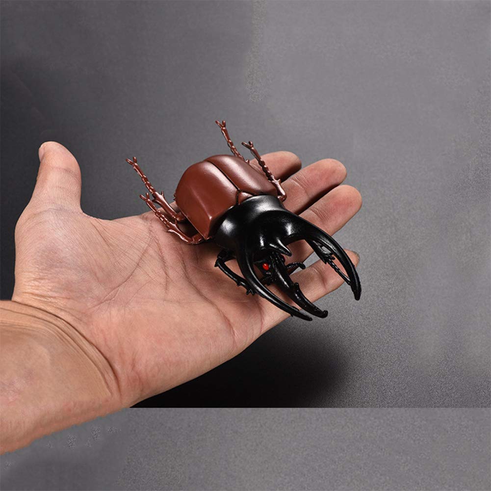 Realistic Beetle Model Toys - Pack of 6 Lifelike Insect Figures for Science Education & Kids Learning | Halloween Party Favors, Classroom Decor & Nature Exploration (5.5 Inch)