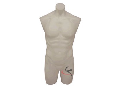 (PS-P908F) Realistic Male Mannequin Torso - Flesh Tone & White Options - Full Round Display Form for Clothing Stores, Tailors & Photography Studios