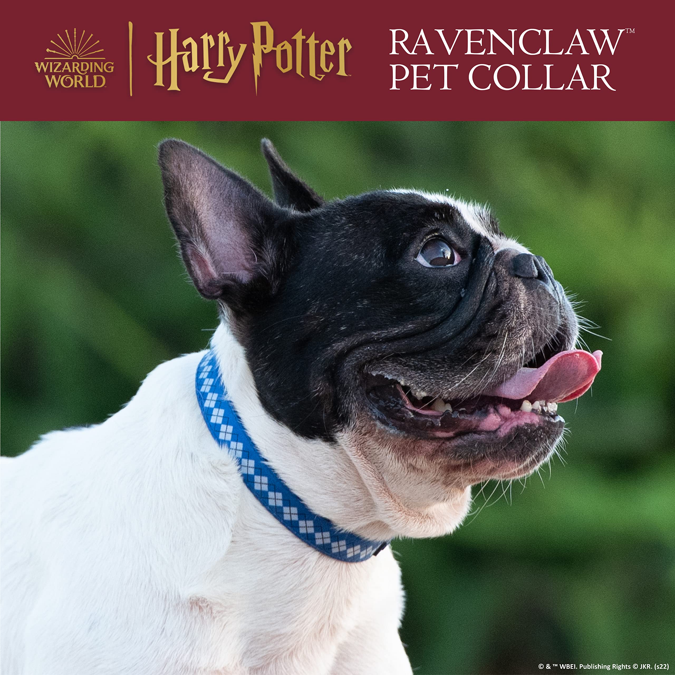 Harry Potter Ravenclaw Dog Collar for Small Dogs | Hogwarts House Pet Accessories | Blue & Bronze Adjustable Collar with House Crest | Perfect for Cosplay, Halloween & Potterhead Pet Lovers