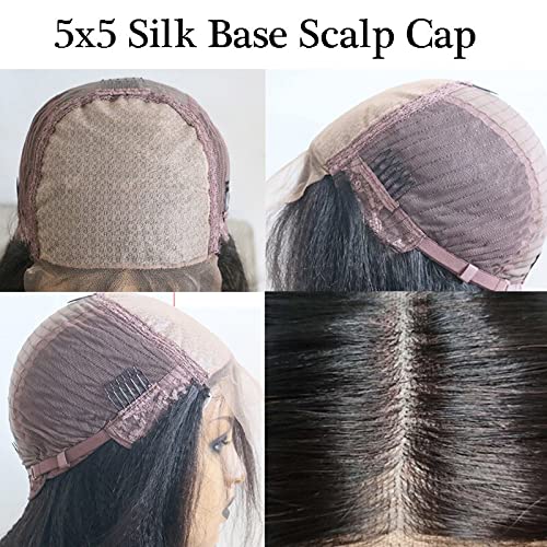 5x5 Silk Base Ombre Human Hair Wig 20