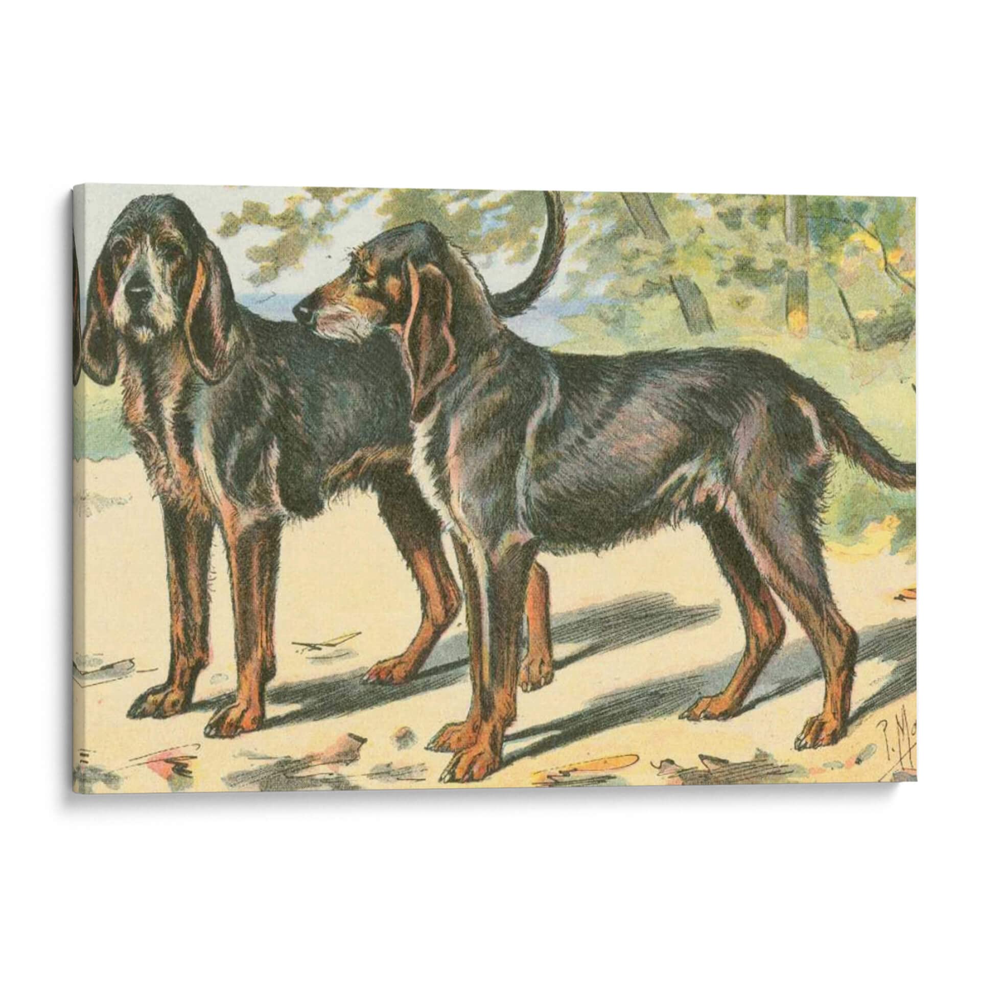 Premium Canvas Wall Art - 