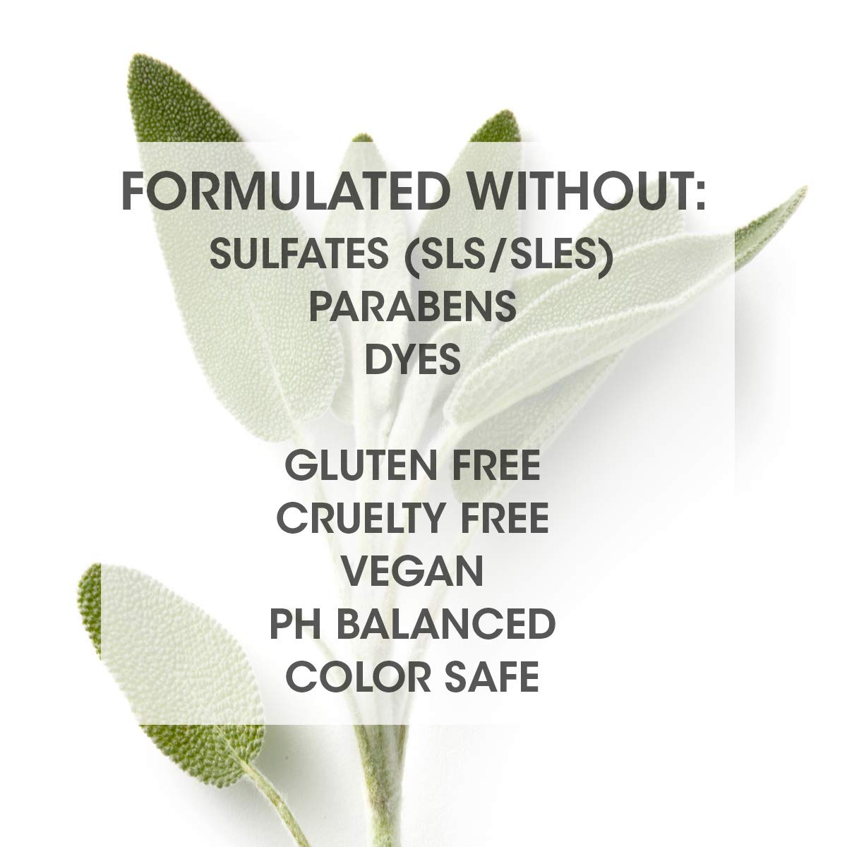 SEVEN Hair Care Satara Volume Conditioner for Women & Men - Sulfate & Paraben Free, Cruelty Free with Argan Oil, Pro Vitamin B5, Hydrolyzed Quinoa & Grapeseed Oil - Volumizing Treatment for Flat & Limp Hair - Made in USA - Perfect for Daily Hair Care & Salon-Quality Results at Home