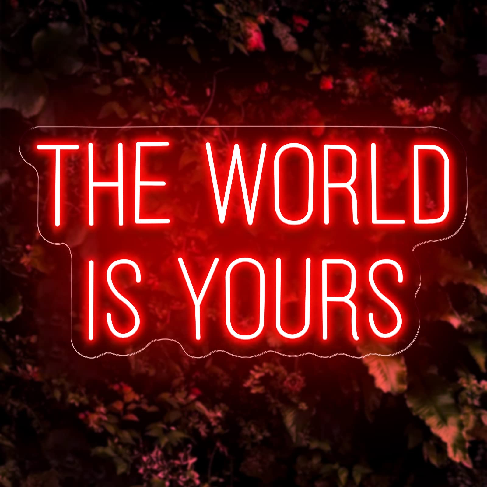 The World Is Yours