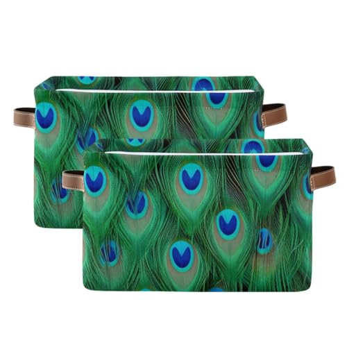 Peacock Feather