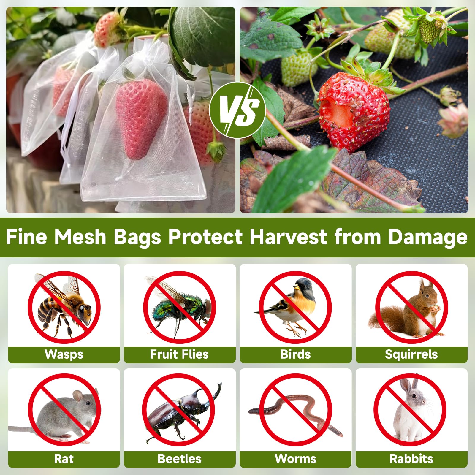 KINGLAKE 100PCS 6x9 Inch Fruit Protection Bags - Breathable White Mesh Netting Covers for Trees, Vegetables, Apples, Peaches & Garden Produce - Prevent Pests & Birds While Allowing Sunlight & Airflow (Ideal for Organic Gardening & Backyard Orchards)