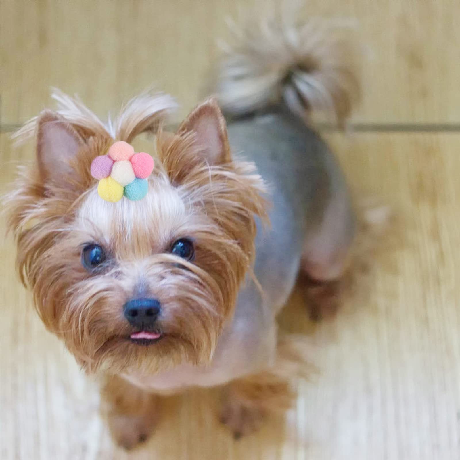 Cute Small Dog Hair Clips & Bows - Floral Fur Ball Barrettes for Puppies & Cats | Alligator Hair Clips for Pet Grooming, Birthday Parties & Special Occasions
