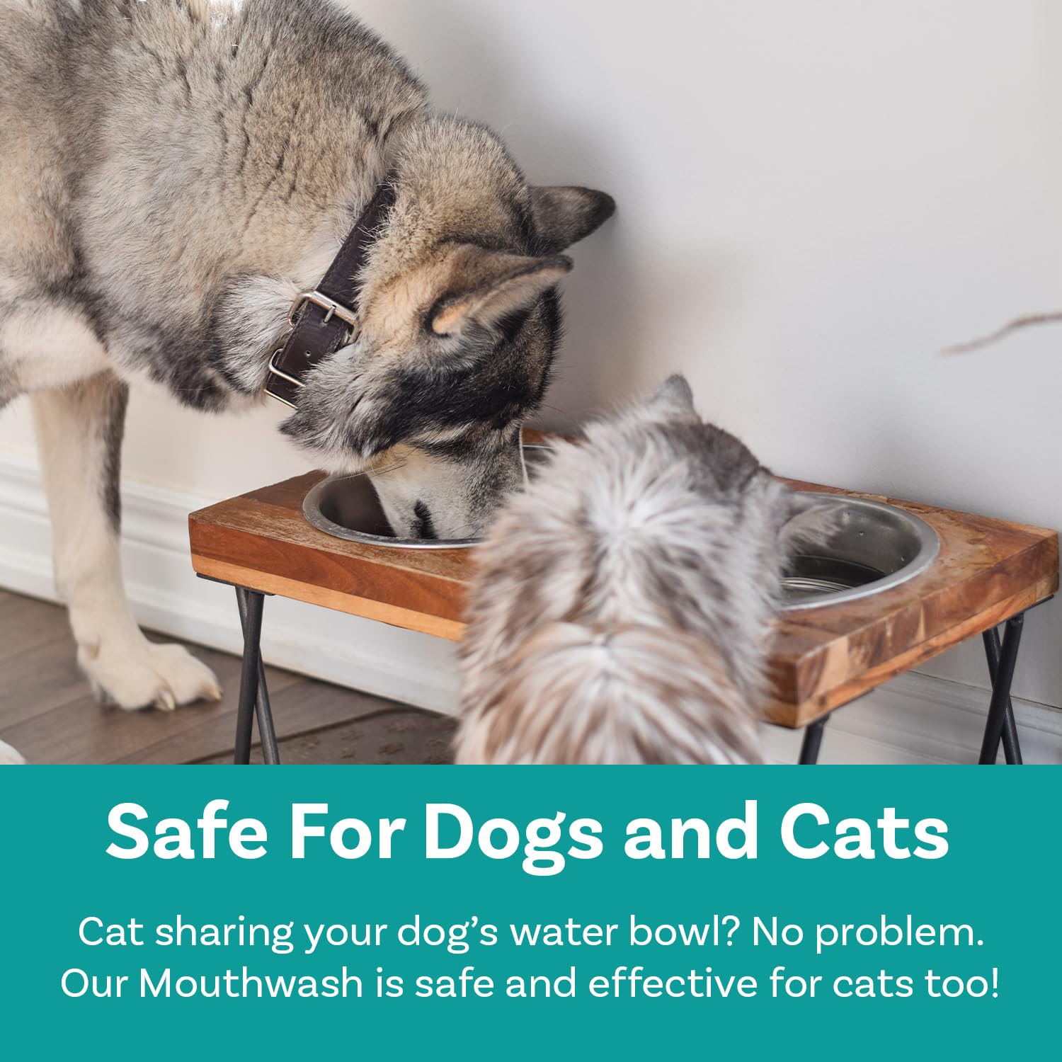 Natural Dog Mouthwash & Dental Water Additive - Fresh Breath, Plaque & Tartar Control for Healthy Teeth & Gums | Advanced Oral Care Solution for Dogs | Easy-to-Use Water Additive for Daily Dental Hygiene at Home