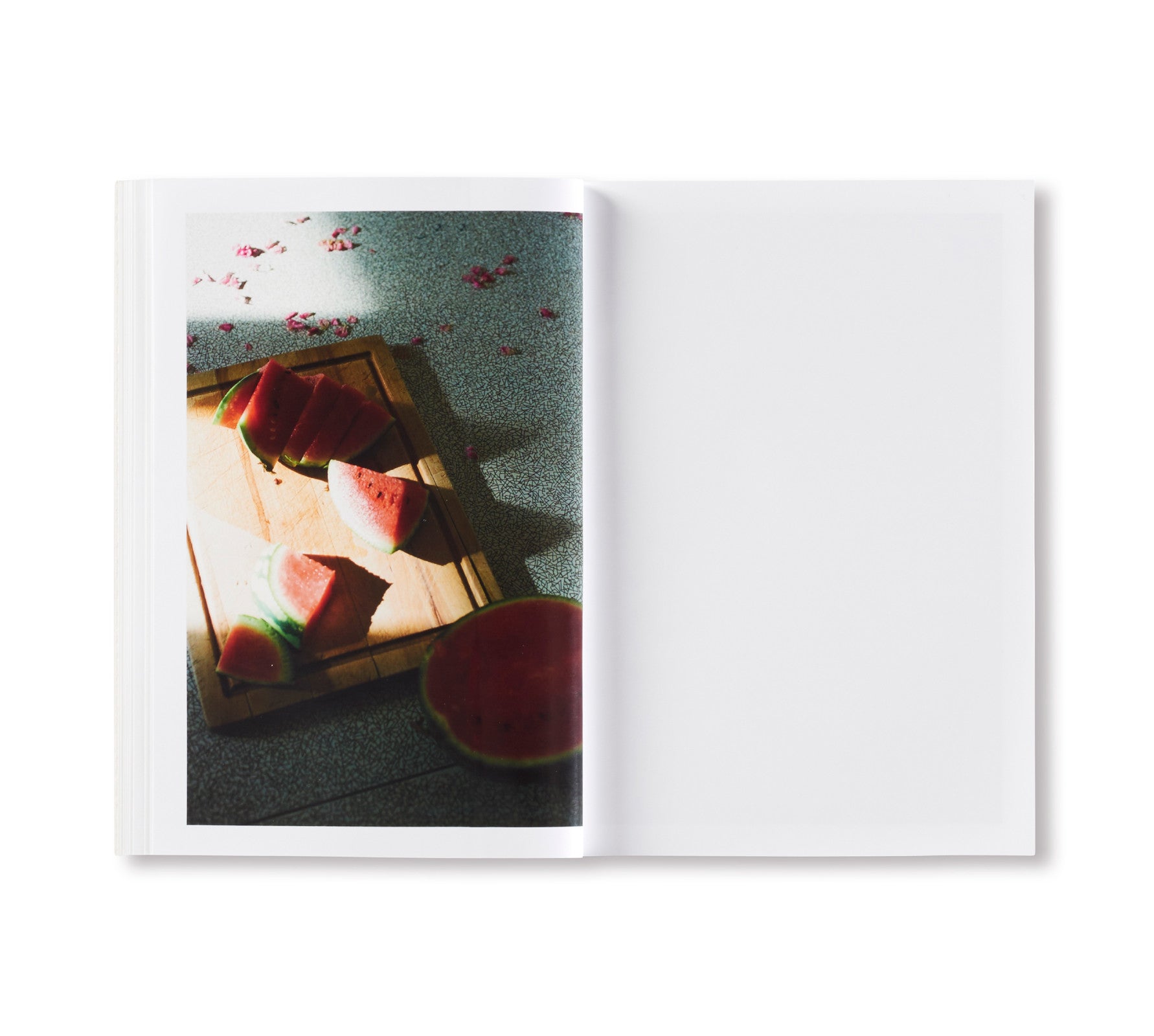 Lina Scheynius 09 Special Edition Photography Book - Limited Collector's Edition for Art Lovers & Photography Enthusiasts | Perfect for Home Decor, Coffee Table Display & Gift Giving