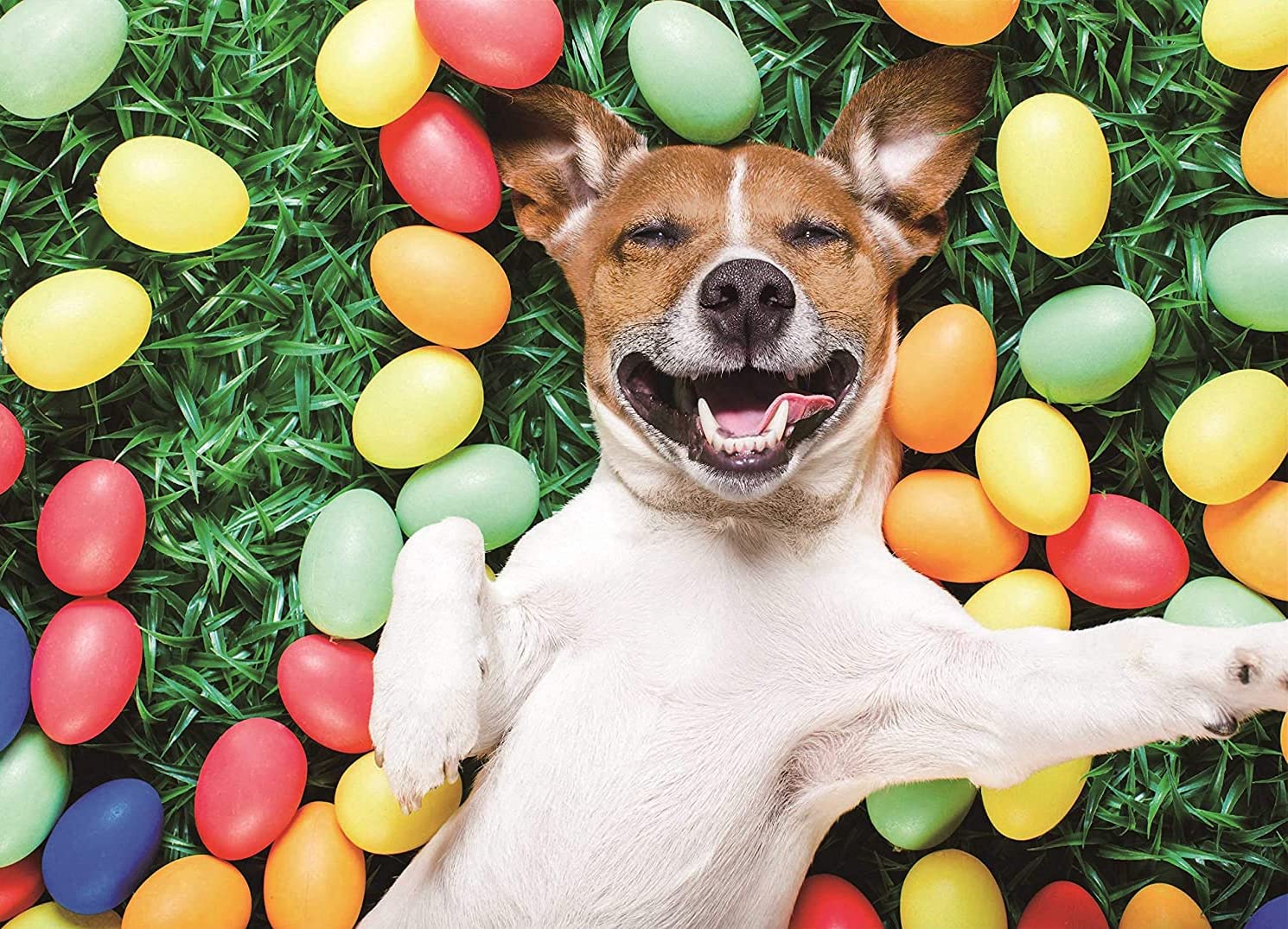 500 Piece Jigsaw Puzzle for Adults - Funny Dog Puzzle, Christmas Holiday Puzzle Game for Family & Friends, Perfect Gift for Dog Lovers - Great for Easter, Christmas Parties & Relaxation at Home