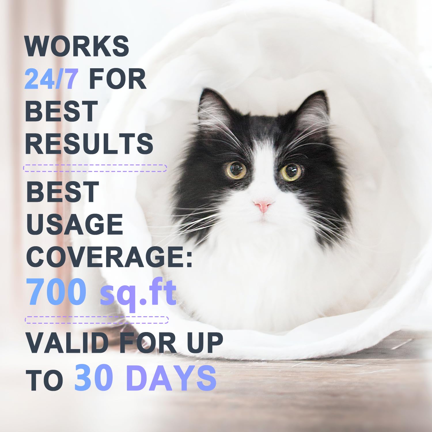 Cat Pheromone Calming Diffuser for Cats - 2 in 1 Starter Kit with Diffuser Head & 48mL Refill - Reduce Anxiety & Stress in Cats - Perfect for Multi-Cat Homes, Vet Visits & Traveling